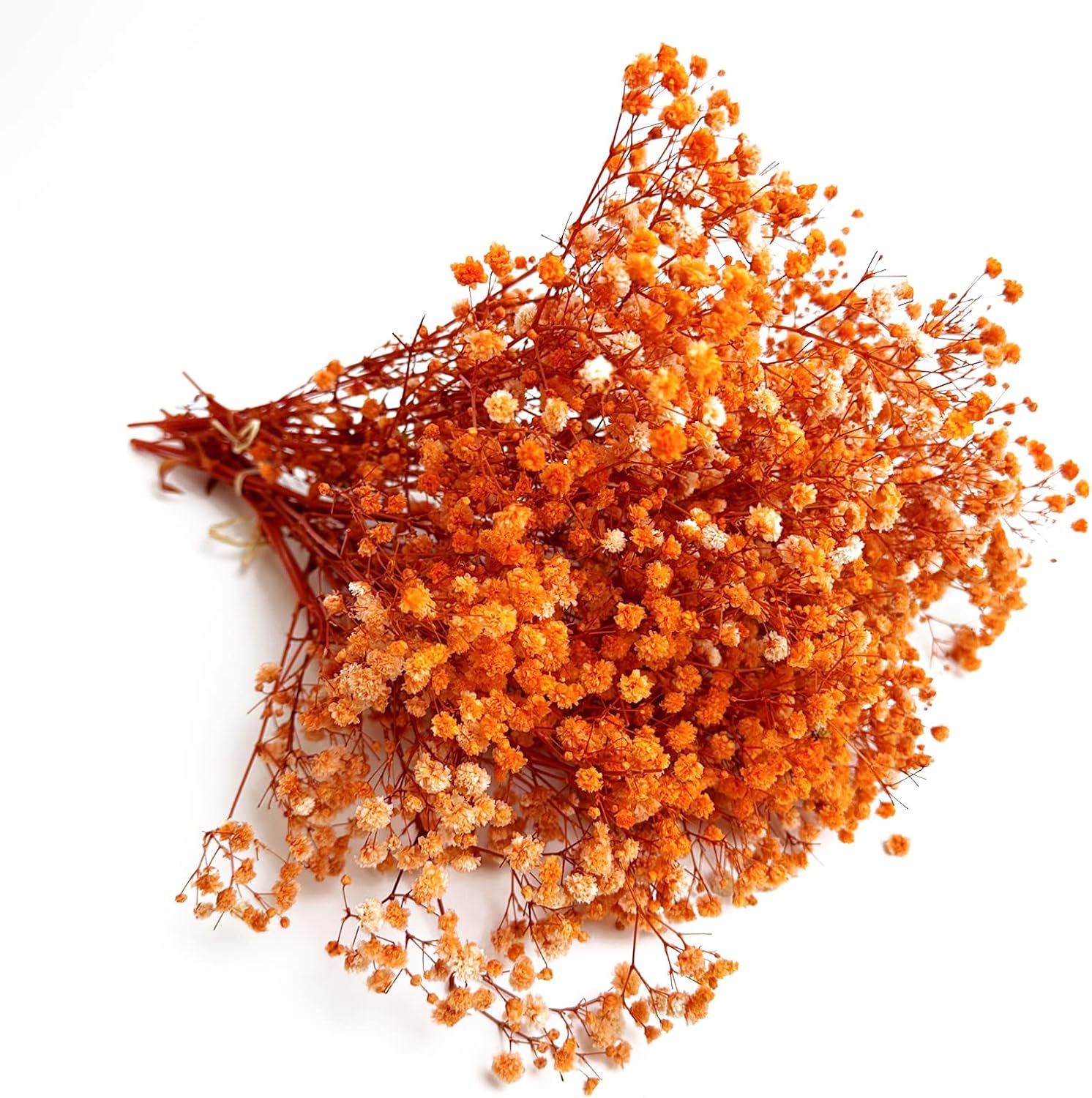 Dried & Preserved Flora - Preserved Baby's Breath 3 Bunches, 100% Natrual Fresh Gypsophila Long Lasting Flowers for Vase Arrangements Home Decoration Photo Props Parties and Weddings, DIY Décor (Orange)