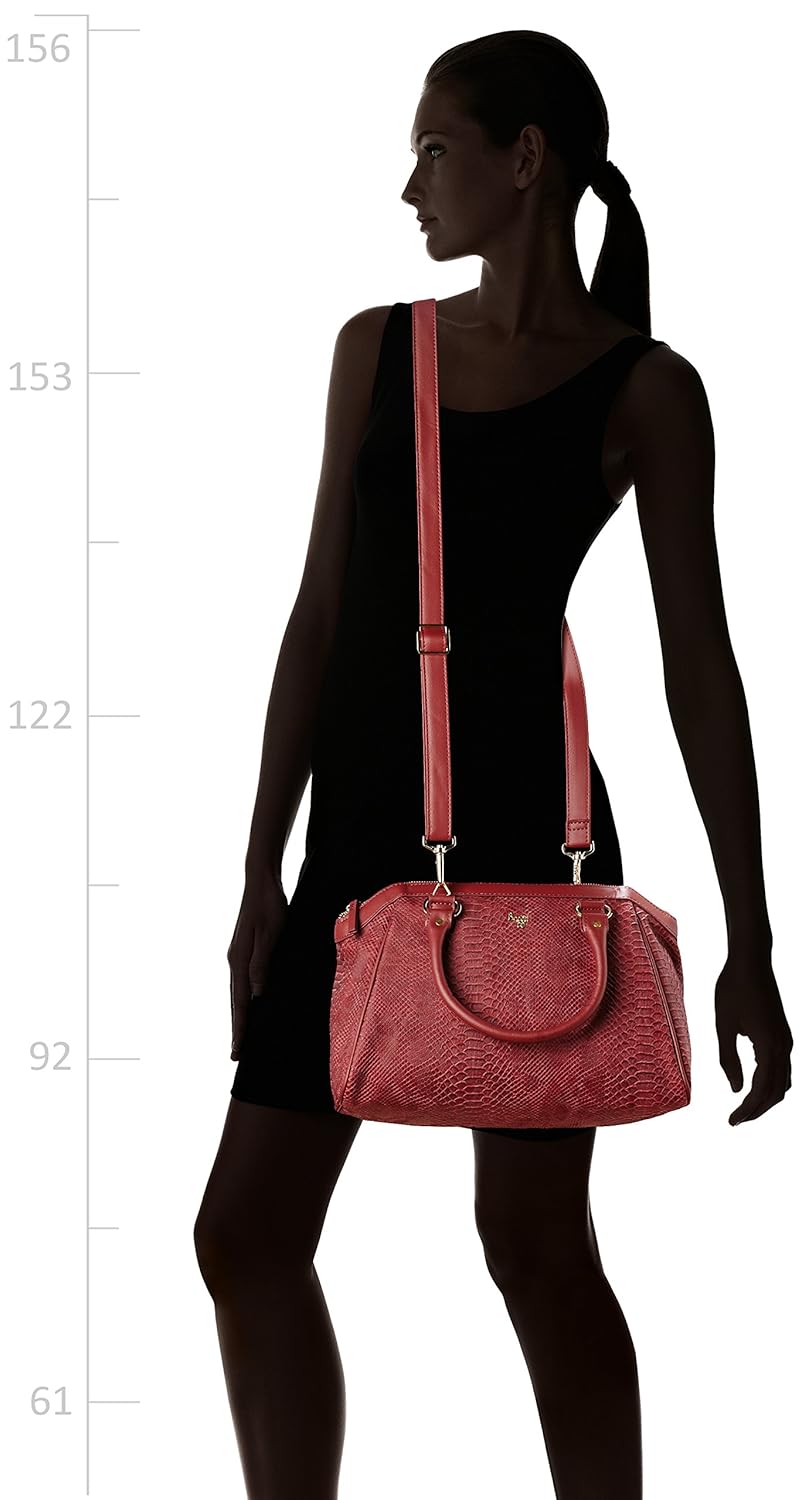 baggit women's satchel (oxblood)