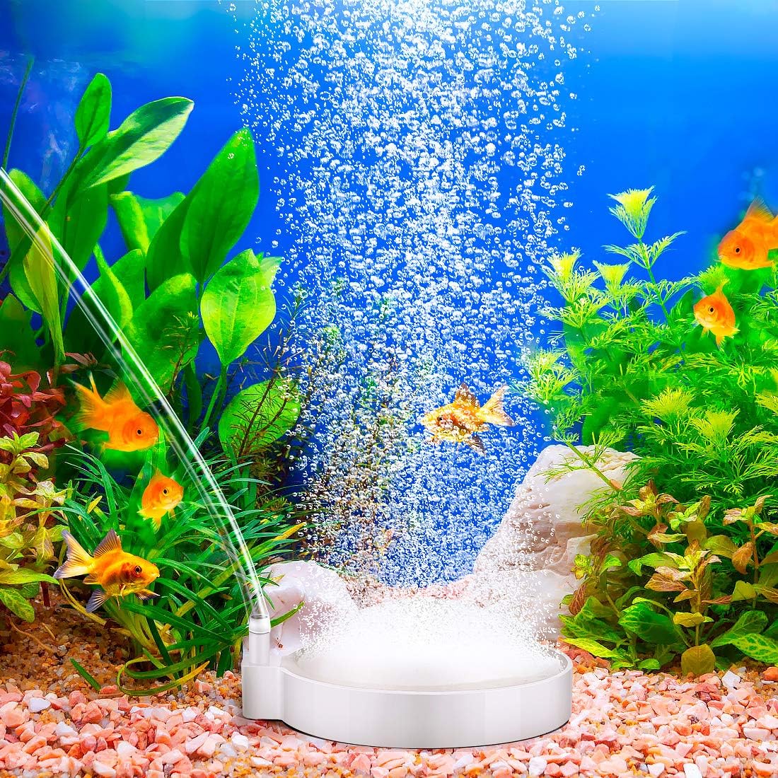 Zwini Aquarium Air Bubble Stone Ultra Silent Oxygen Diffusers Nano