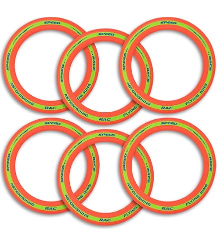 Aerobie Ring Pro Disc – 13 Inch Diameter, Brand New, Aerobie Brand