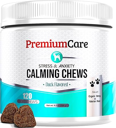 blue gator head pitbull