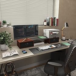 WESTREE Dual Monitor Stand Riser with Two