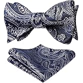 HISDERN Bow Ties for Men Paisley Bowties Mens Self Tie Bow Tie and Pocket Square Set Formal Tuxedo Wedding Bowtie