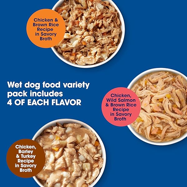 NATURE’S RECIPE CHICKEN, SALMON AND TURKEY RECIPES VARIETY PACK WET DOG FOOD, 12-2.75 OZ. CUPS, 2 COUNT