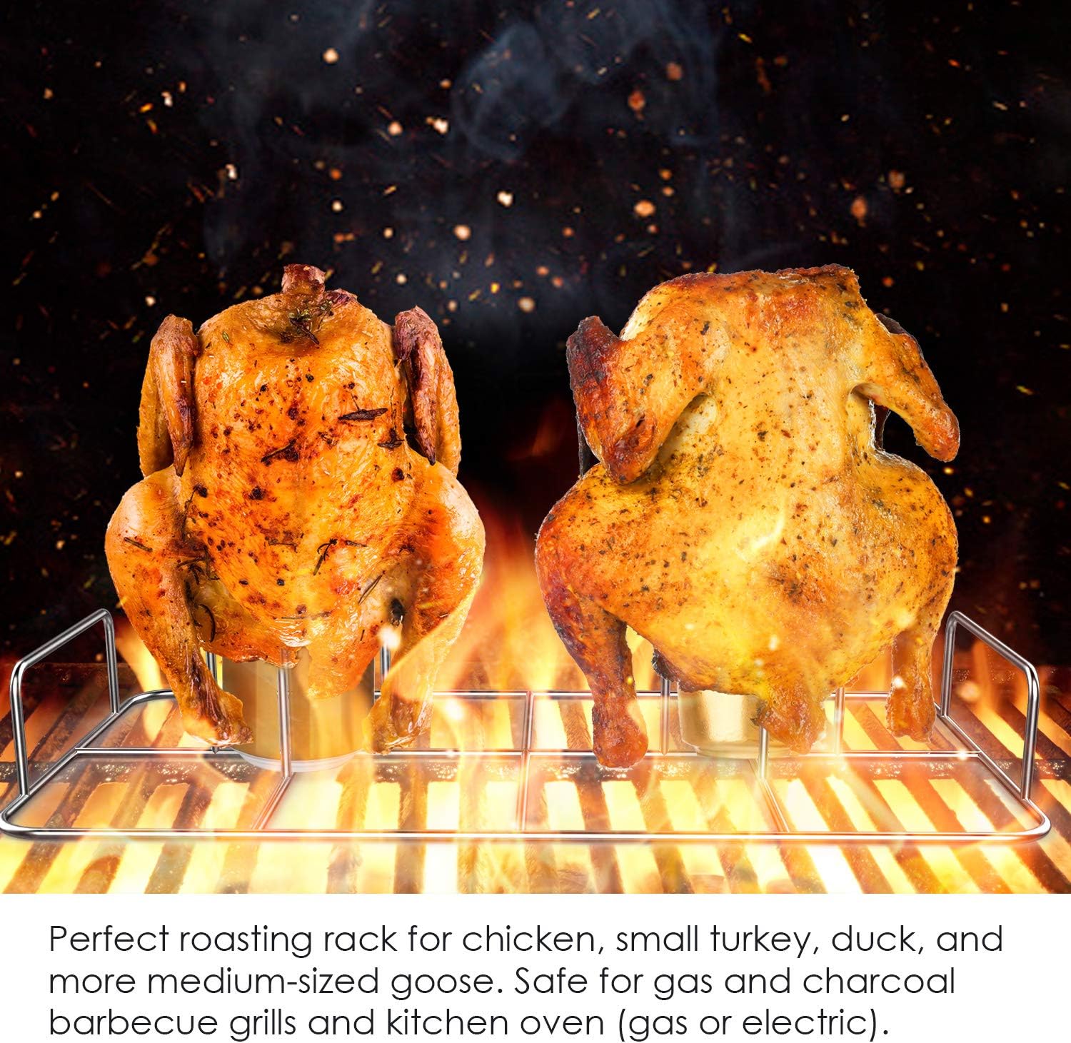 RUSFOL Double Beercan Chicken Rack with a Silicone Oil Brush, Stainless Steel Twin Chicken Stand for Smoker and Grill, Cook 2 Chicken Together : Garden & Outdoor