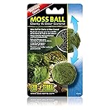 Exo Terra Moss Ball, Water Clarity and Odor Control
