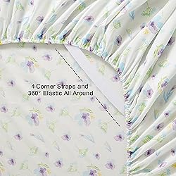 softan Floral Queen Sheet Set Blue Dandelion Flower
