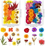YoothBro 191PCS Real Nature Dried Pressed Flowers for Resin Jewelry Nail Art view 2