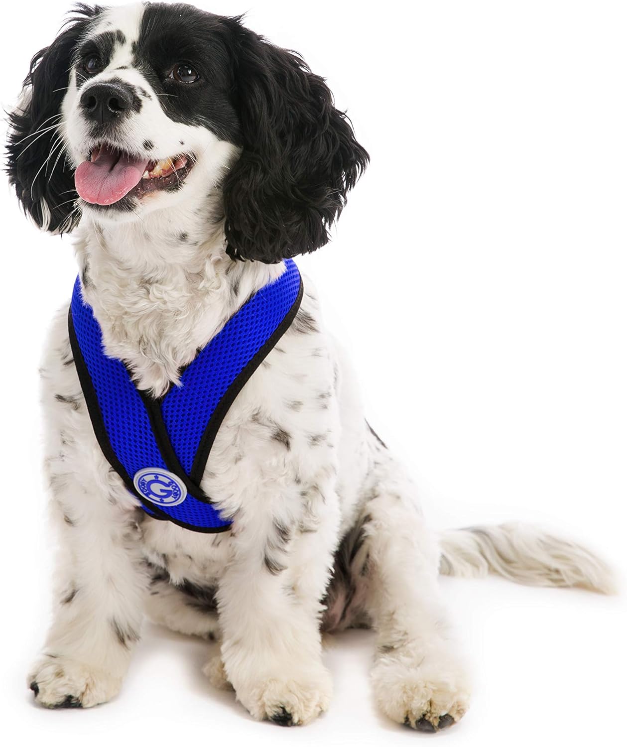 GOOBY Comfort X HeadIn Harness, Choke Free Small Dog Harness with