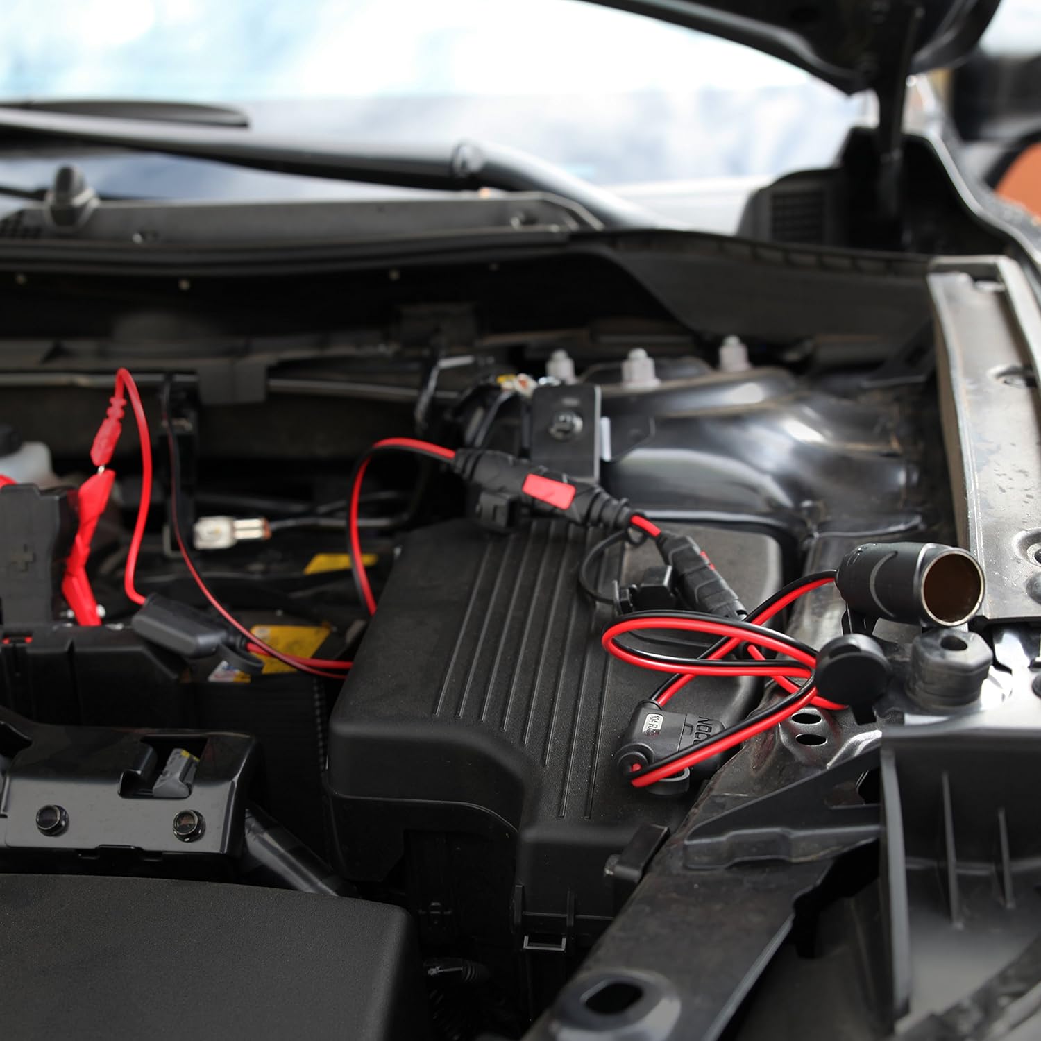 NOCO GC010 X-Connect 12V Female Plug Accessory For NOCO Genius Smart Battery Chargers: Automotive