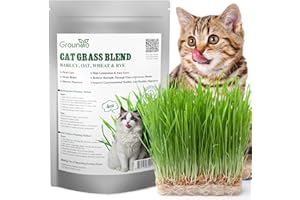 Groundio Cat Grass Seeds, 4 Oz, Non-GMO Barley, Oats, Wheat, Rye 4 Varieties Seeds, Germinate 4-7 Days, Grown in USA for Indoor Cats