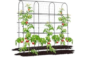 OTOSUNNY Garden Trellis for Climbing Plants Outdoor, 6 FT Tall Arch Tunnel, Metal A-Frame Plant Support with Trellis Netting Vegetable Fruit Flower, Cucumber Trellis for Garden Raised Bed