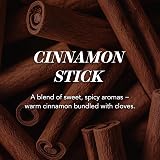 Yankee Candle Cinnamon Stick Large Jar Candle 150 Hours Burn Time view 2