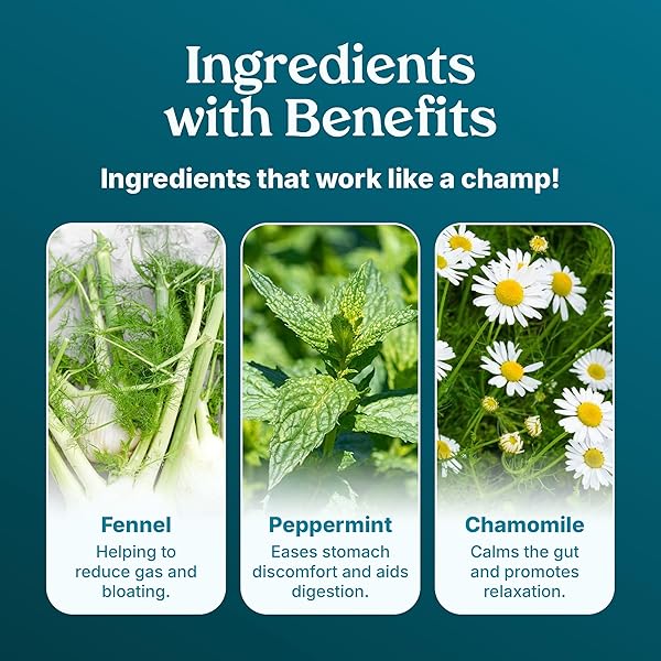 POOP LIKE A CHAMPION GAS RELIEF CHAMOMILE PEPPERMINT TEA, 30 BAGS, HERBAL TEA FOR DIGESTION AND BLOATING, CHAMOMILE TEA BAGS WITH FENNEL