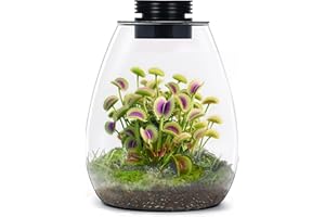 AREPK Desktop Glass Terrarium with Grow Light (H:7.8" D:6.7"), for Succulent, Moss, Miniature Gardening Landscape, Betta Fish Tank, Indoor Plant Growth, Office Home Decoration, Plant Lovers Gifts