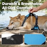 PoyPet No Pull Dog Harness Reflective Vest with 2 Leash Attachments (Blue, L) view 7