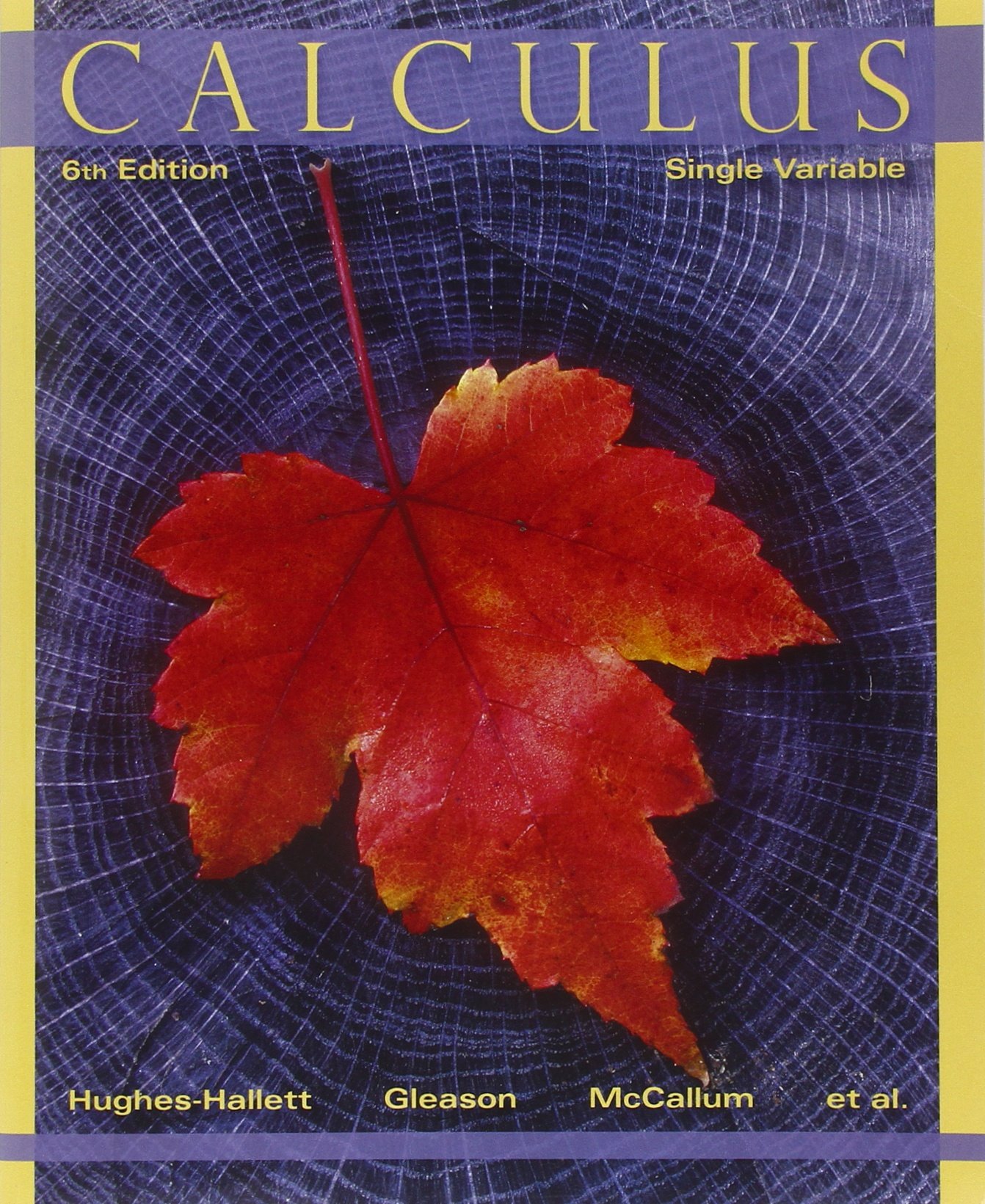  Calculus Single Variable Hughes Hallett Deborah Gleason Andrew M Mccallum William G Flath Daniel E Frazer Lock Patti Lomen David O Lovelock David Osgood Brad G Quinney Douglas Rhea Karen