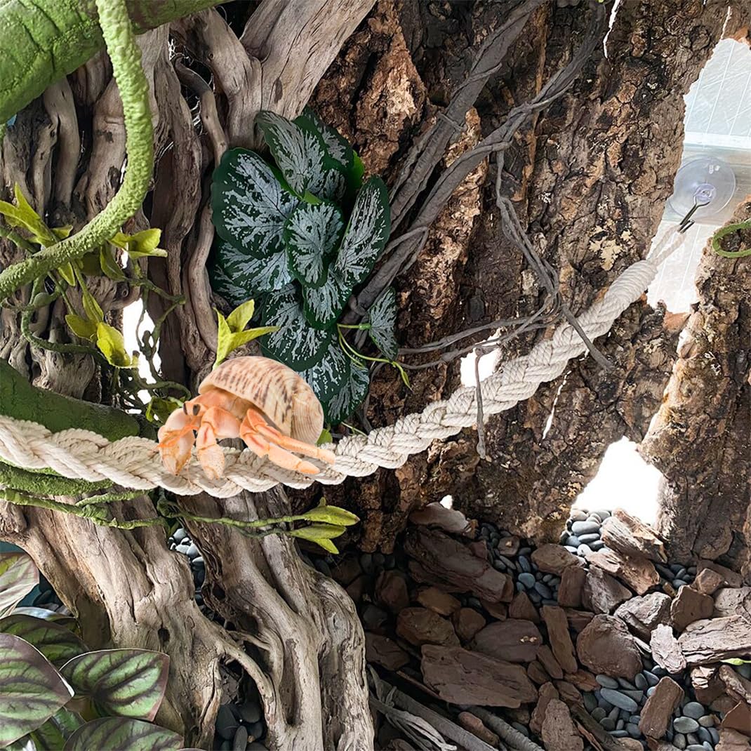 View 3