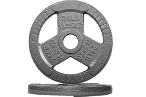 Fitvids Cast Iron 2-Inch Olympic Weight Plate for Strength Training & Weightlifting, Multiple Weights Available