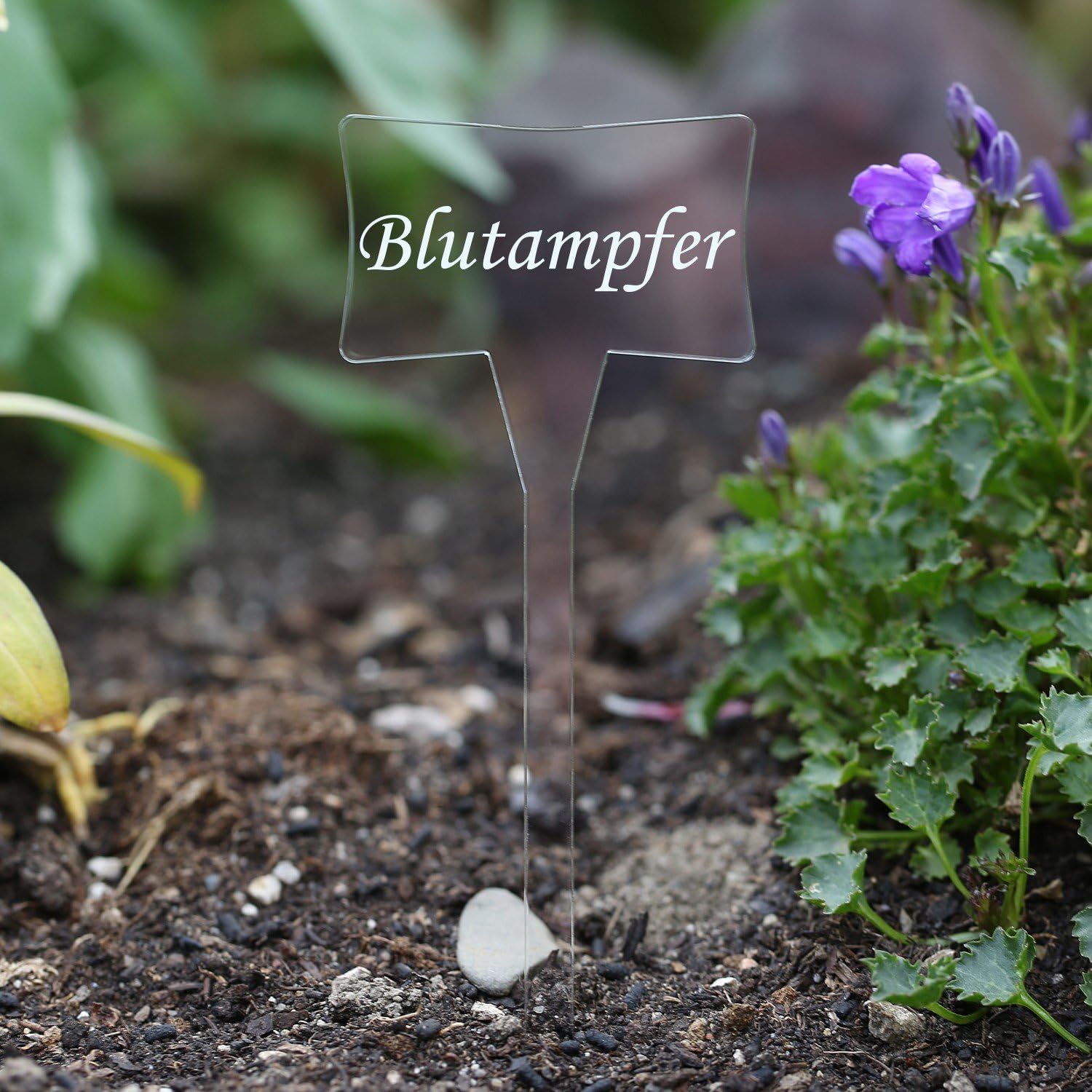 Acrílico cristal – Etiquetas para plantas (Esclavo transparente ...