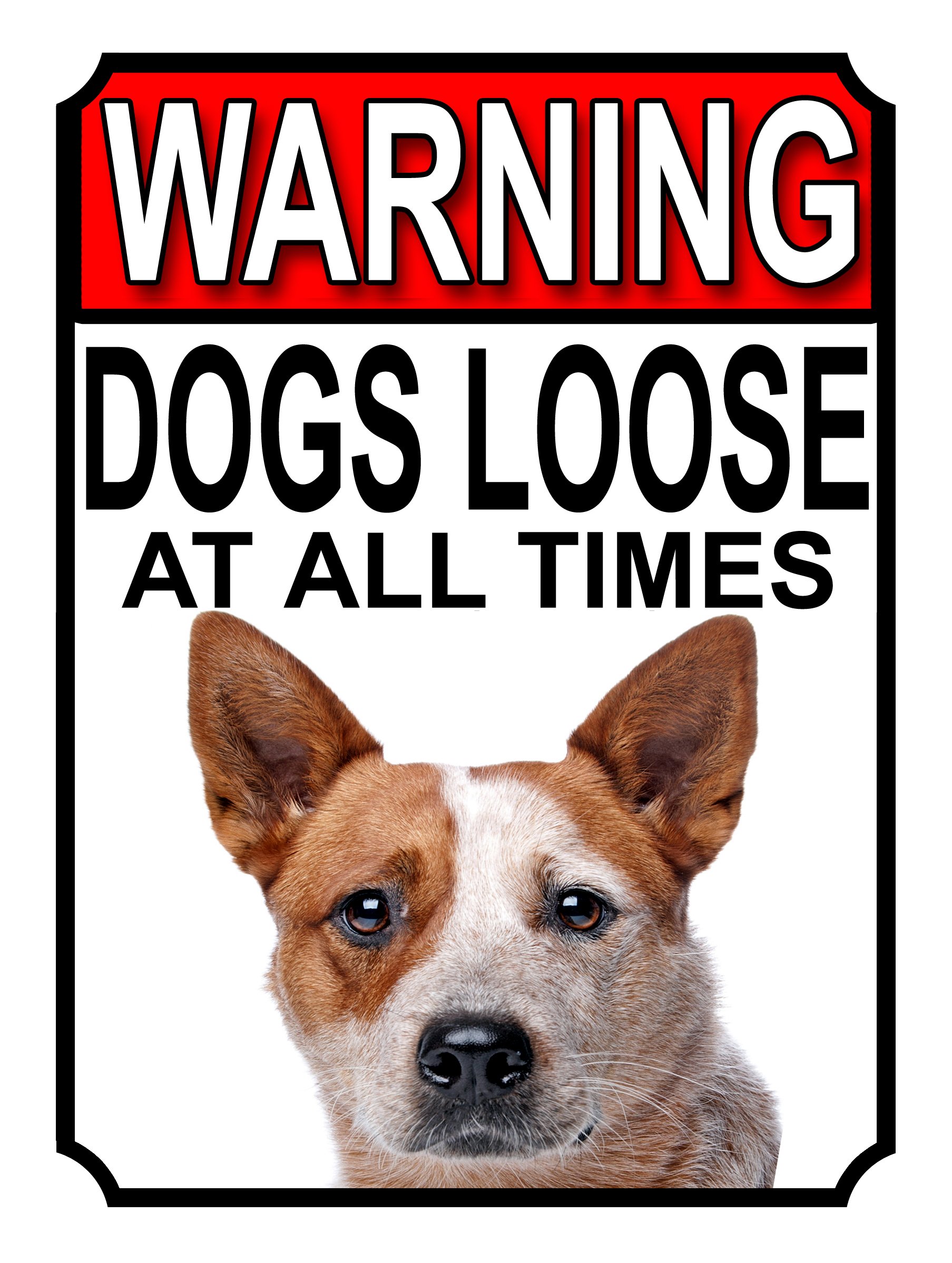 SHAWPRINT WARNING DOGS LOOSE AT ALL TIMES METAL GATE SIGN AUSTRALIAN CATTLE DOG 200MM X 150MM (1239H1) — image 1