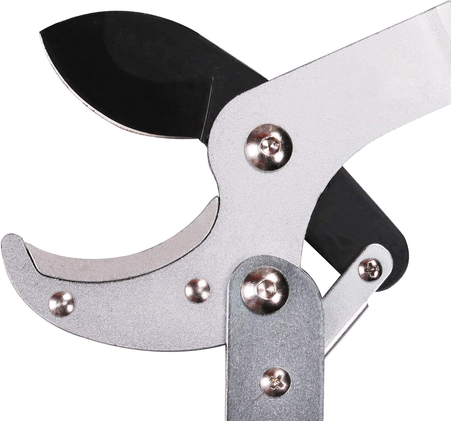 GARTOL Anvil Lopper with Compound Action 29 Inch Heavy Duty Tree Branch Cutter, 2 inch Cutting Capacity Tree Trimmer, with Ergonomically Designed Non-Slip Handles: Home Improvement