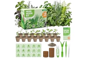 Herb Garden Starter Kit – Fruivity 12800+ 15 in 1 Heirloom Herb Seed Kits for Indoor/Outdoor Planting | Herb Indoor Garden Ki
