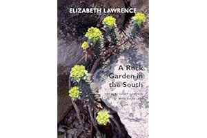 A Rock Garden in the South