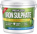 Pro-Kleen 2.5KG Iron Sulphate Lawn Fertiliser - 2500L Coverage view 1