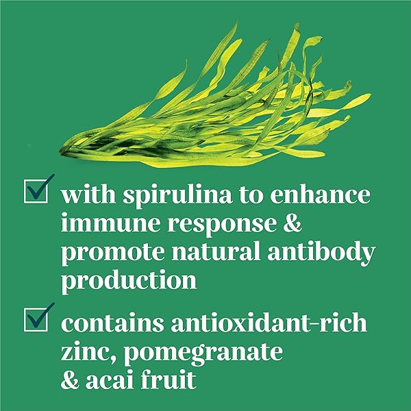 EVERROOT DOG SUPPLEMENTS POWERED BY PURINA IMMUNITY CHEWABLE TABLET WITH SPIRULINA AND ANTIOXIDANTS – 3.6 OZ. CANISTER