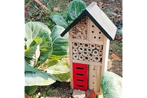 LWINGFLYER Insect Hotel Hanging Bee House Wooden Insect House, Natural Habitat for Beneficial Bees, Bugs, Butterflys, Ladybirds Garden Yard Home