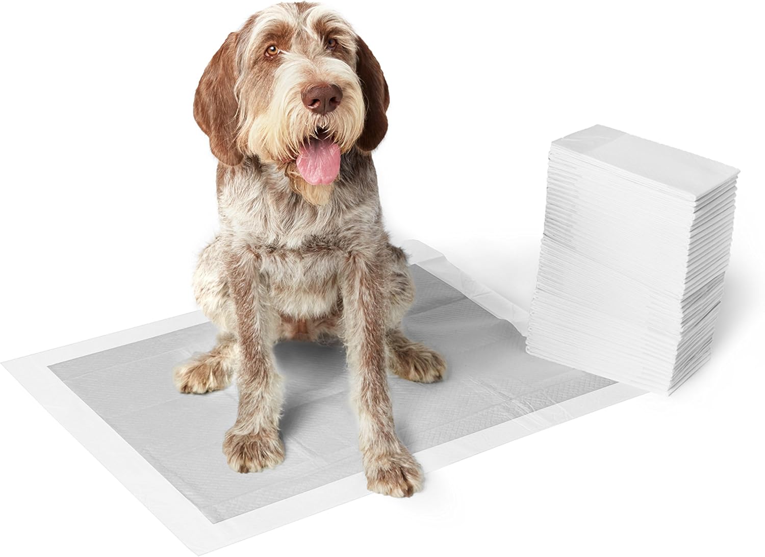 Basics Odor-Control Carbon Pet Dog and Puppy Training Pads - Pack of 50, X-Large (28 x 34 Inches) : Pet Supplies