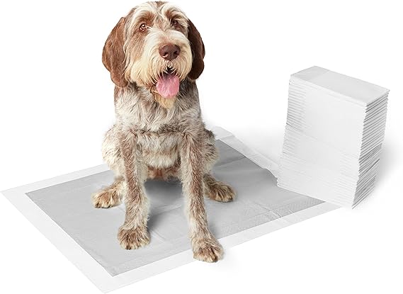 puppy training mats b&m