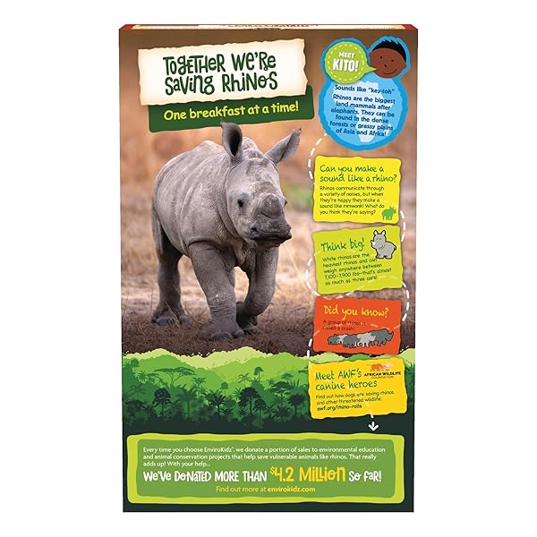 ENVIROKIDZ ORGANIC RHINO ROLLS CEREAL, 9.5 OZ (PACK OF 1), CINNAMON BUN, GLUTEN FREE, NON-GMO, BY NATURE’S PATH