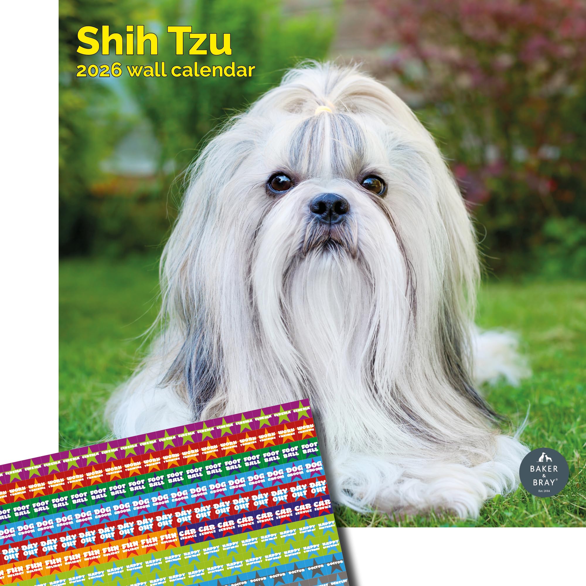 Baker and Bray Shih Tzu Calendar 2026, Large Square Wall Calendar With Organisational Stickers, 16 Month, Shih Tzu Gift Dog Calendar