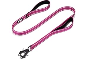 GEIT 4/5/6FT Heavy Duty Dog Leash with 2 Comfortable Padded Handles, Reflective Rope Leashes with Quick Release/Locking Tactical Frog Clip for Small Medium and Large Dogs, Rose