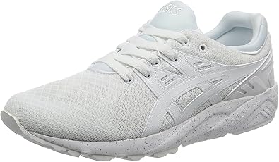 gel kayano evo
