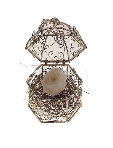 Cage Oiseau Argent Avec Rose éternelle Blanche Et Sisal