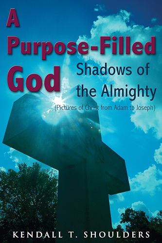 Download A Purpose-Filled God: Shadows of the Almighty (English Edition) PDF