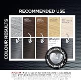 Knight & Wilson Colour Freedom Permanent Colour Silver Grey 17 Shades PurePlex view 2