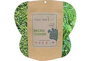 FLAWN SEED KITS Organic Coated Micro Clover Pouches (2,500 sqft) Flawn Seed Flowering Lawn Seed - Kid, Pet, Pollinator & Eco-Friendly Grass Alternative - Easy to Use & Cost Effective
