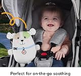 Fisher-Price Calming Vibes Puppy Soother Plush, Portable Sound Machine HTJ68 view 4