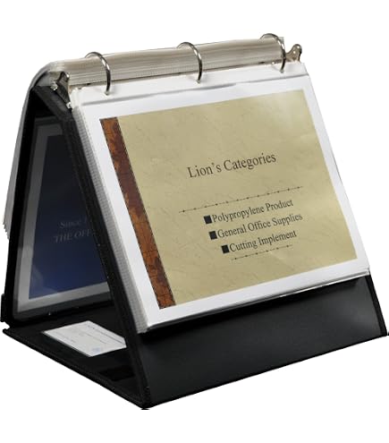 Amazon.com: Lion Flip-N-Tell Display Book-N-Easel, Letter, 20