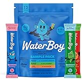 Waterboy Hydration Recovery Variety | 4-9x Electrolyte Powder Packets | Ginger + L-Theanine + L-Glutamine + Vitamins | No Sugar, All Natural, Gluten Free | 12 Drink Stick Mixes (Variety Pack)