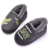 Holynissl Boys Girls Slippers Warm Fur House