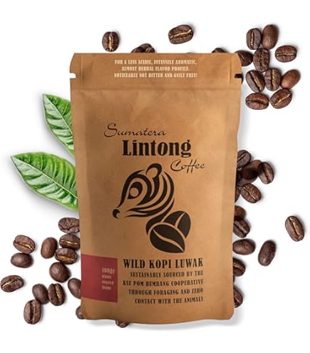 Amazon.com: Bali King Wild Kopi Luwak 咖啡,100 克研磨,經典盒裝