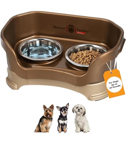 Amazon.com: Slow Eating Dog Bowl