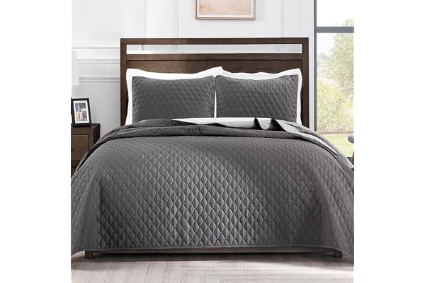 Exclusivo Mezcla Reversible Full Queen Quilt Bedding Set with Pillow Shams, Lightweight Quilts Queen Size, Soft Bedspreads Be
