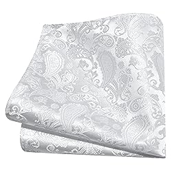 GUSLESON White Tie for Men Wedding Retro Paisley