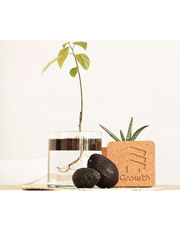 Amazon.es: Kits de cultivo en casa: Jardín